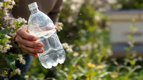 Dit veelvoorkomend afval helpt je om de Aziatische hoornaar in 5 minuten te vangen, zonder speciaal materiaal.